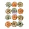 Prima Marketing Paper Flowers 12/Pkg-Floral Adventure, In The Moment